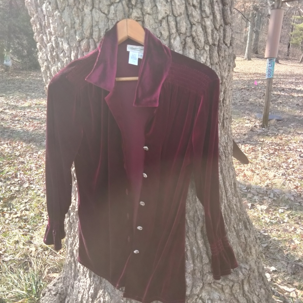 ⬇️ Price Drop!⬇️ Coldwater Creek Velvet Look Blouse in size S